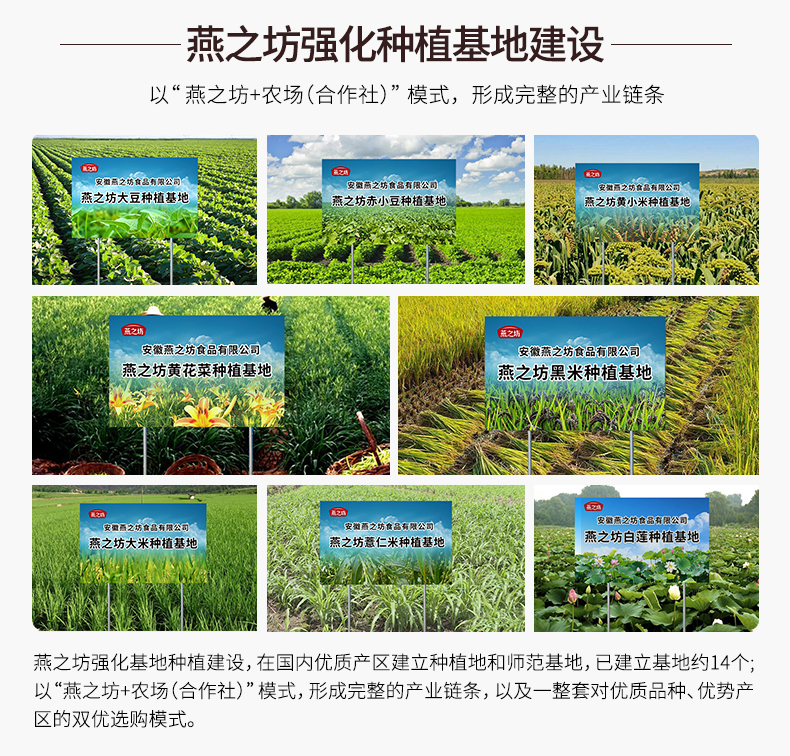 清香山野香菇_17.jpg