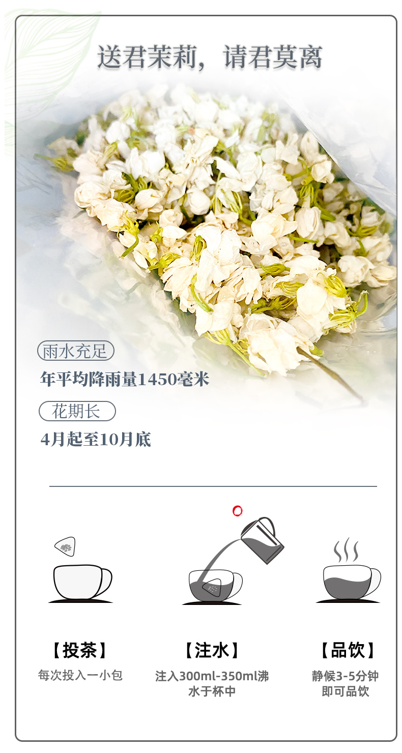 茉莉花2(1)_06.jpg