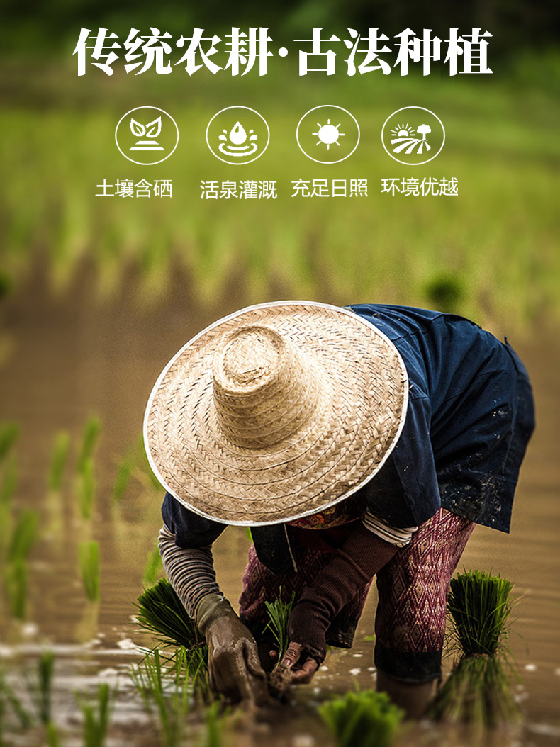 紫薯挂面袋装600g_01.jpg
