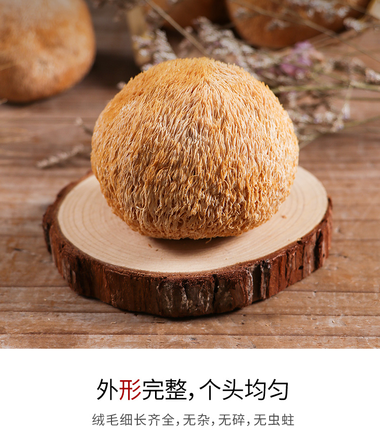 猴头菇2_08.jpg