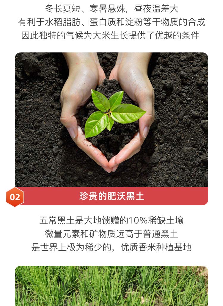 详情-09.jpg