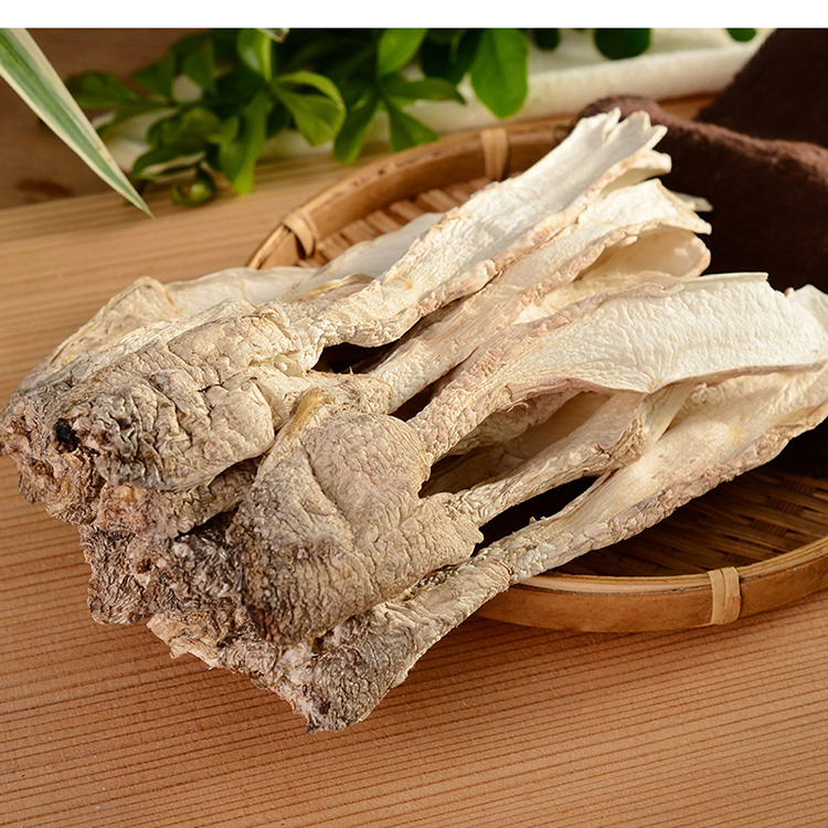 鸡腿菇8.jpg