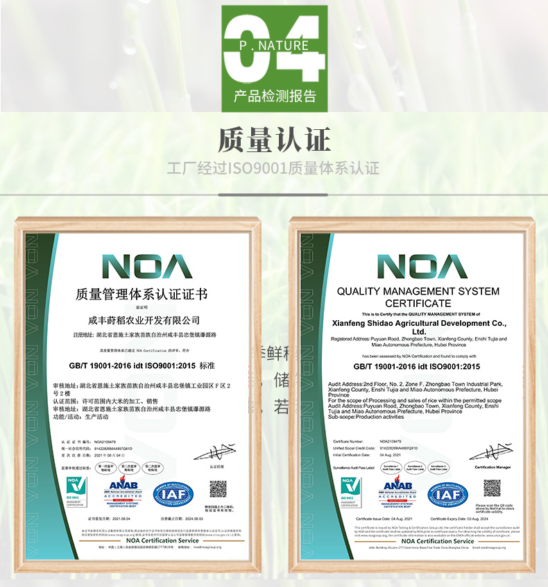 见字如面-A_13.jpg