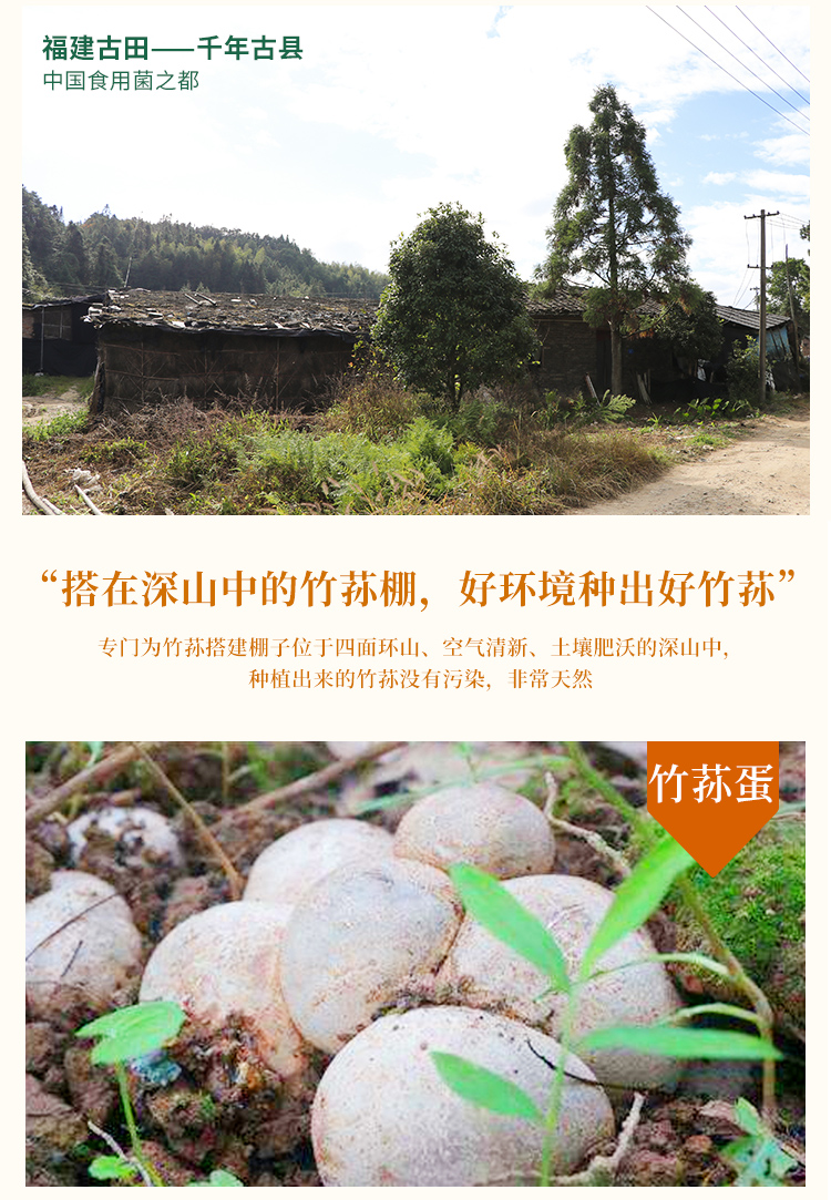 竹荪_07.jpg