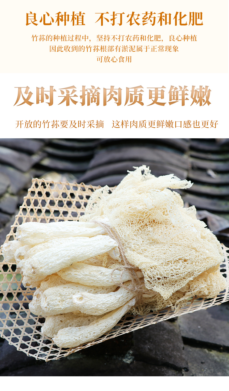 竹荪_09.jpg