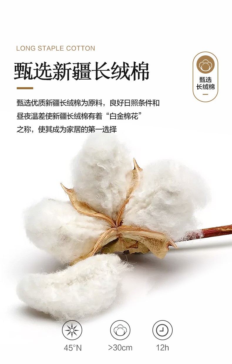 详情-02.jpg