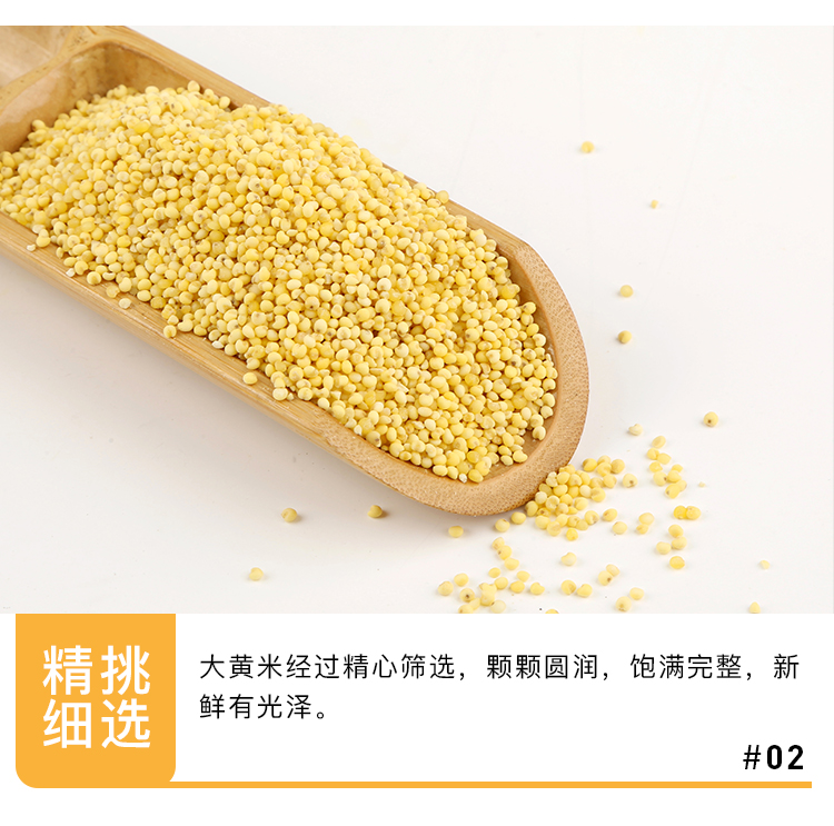 大黄米_06.jpg