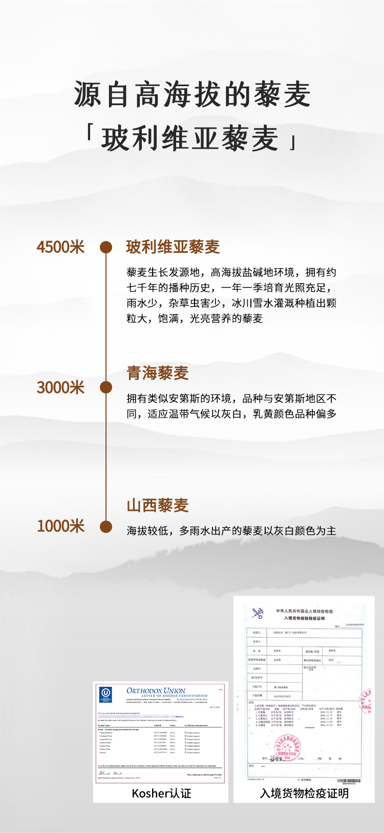 详情页03.jpg