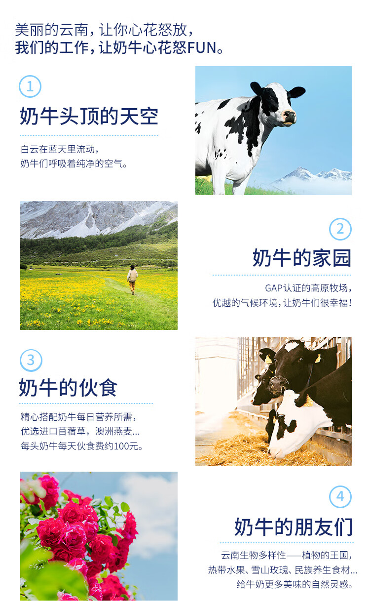 详情-06.jpg
