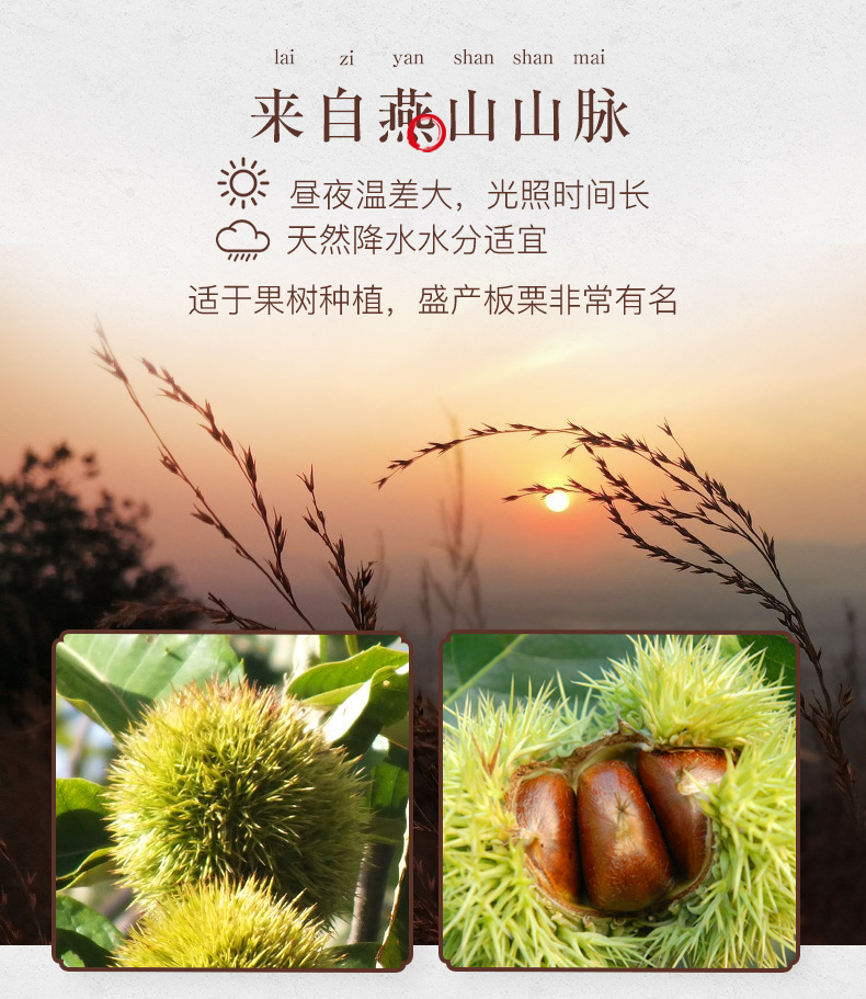 88板栗仁_03.jpg