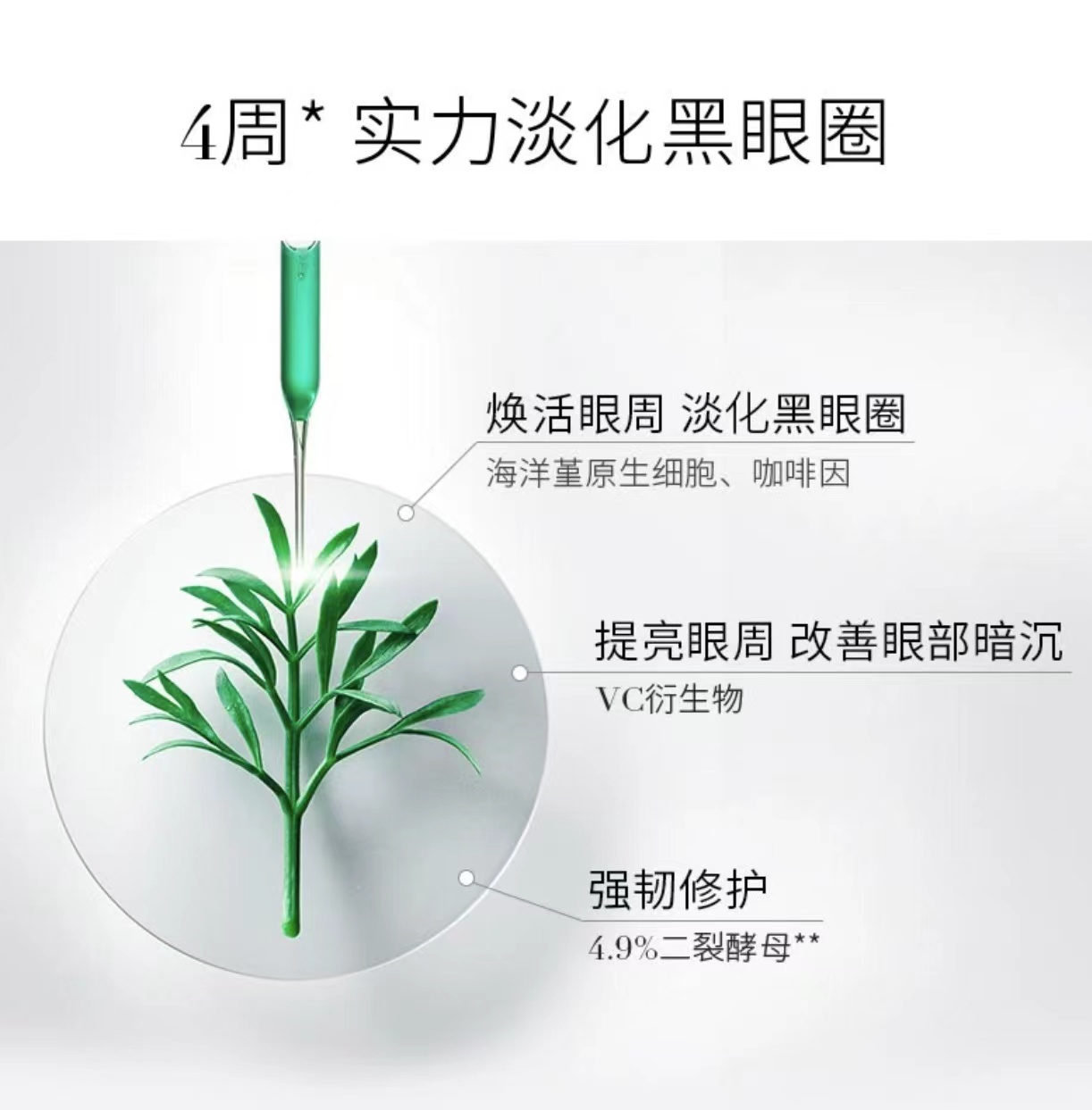 详情4.jpeg