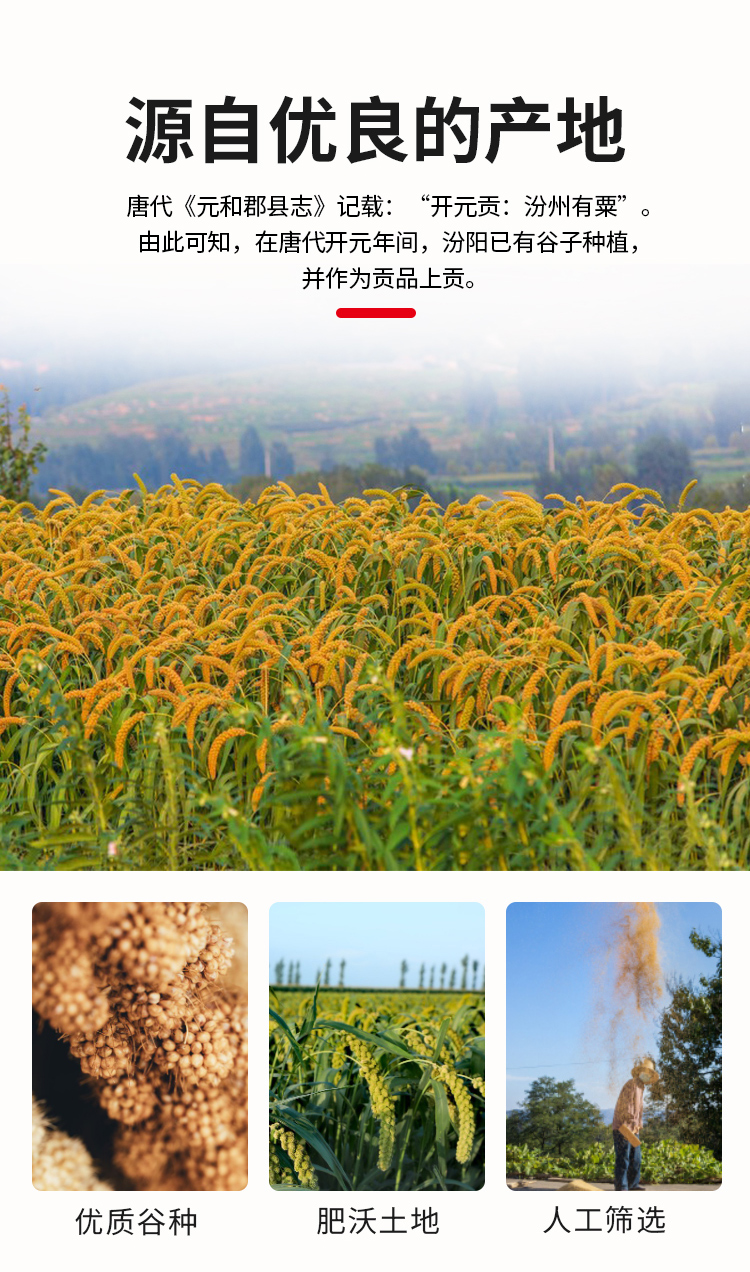 详情-04.jpg