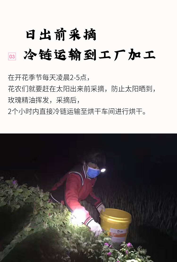 玫瑰花冠袋装_06.jpg