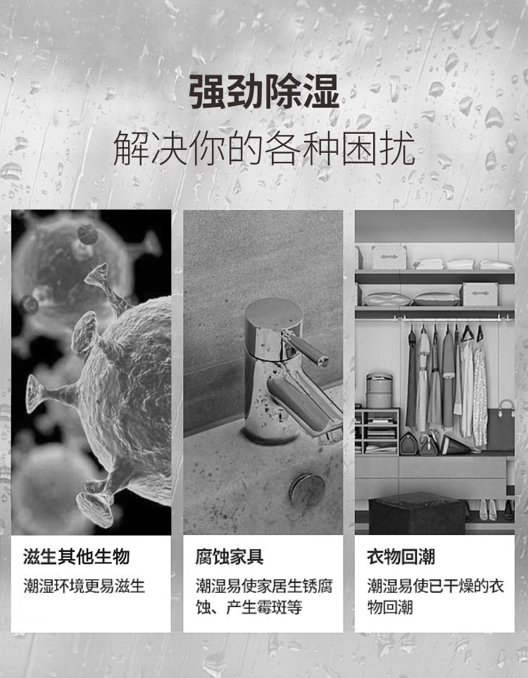 详情-02.jpg