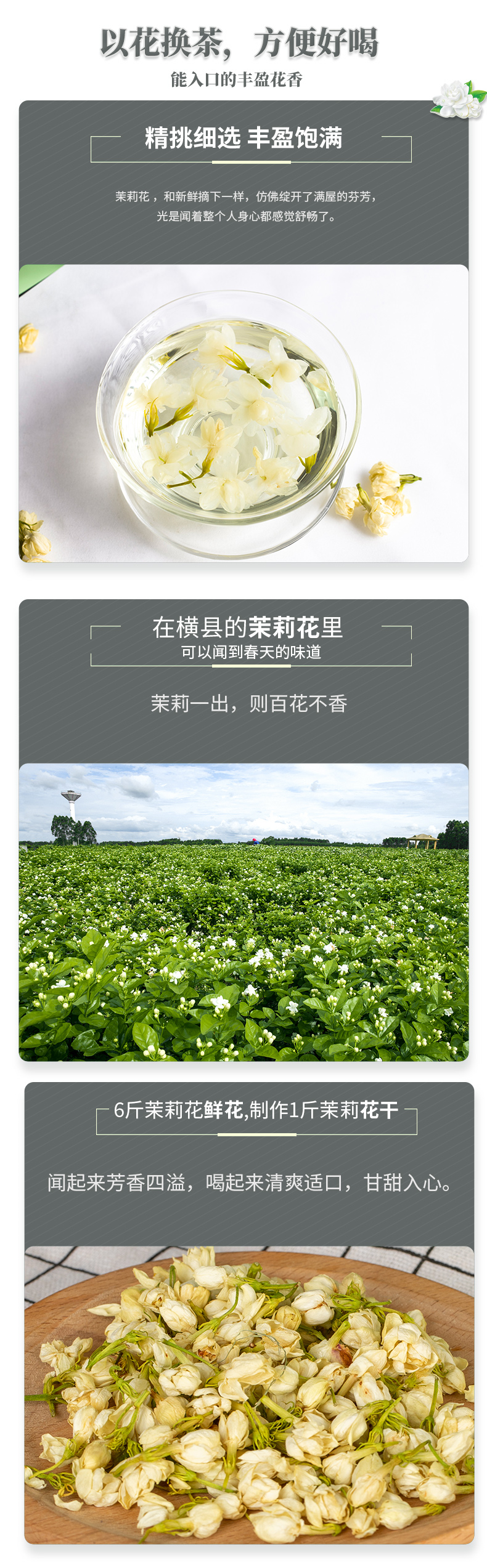茉莉花2(1)_04.jpg