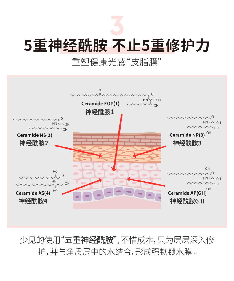详情-14.jpg
