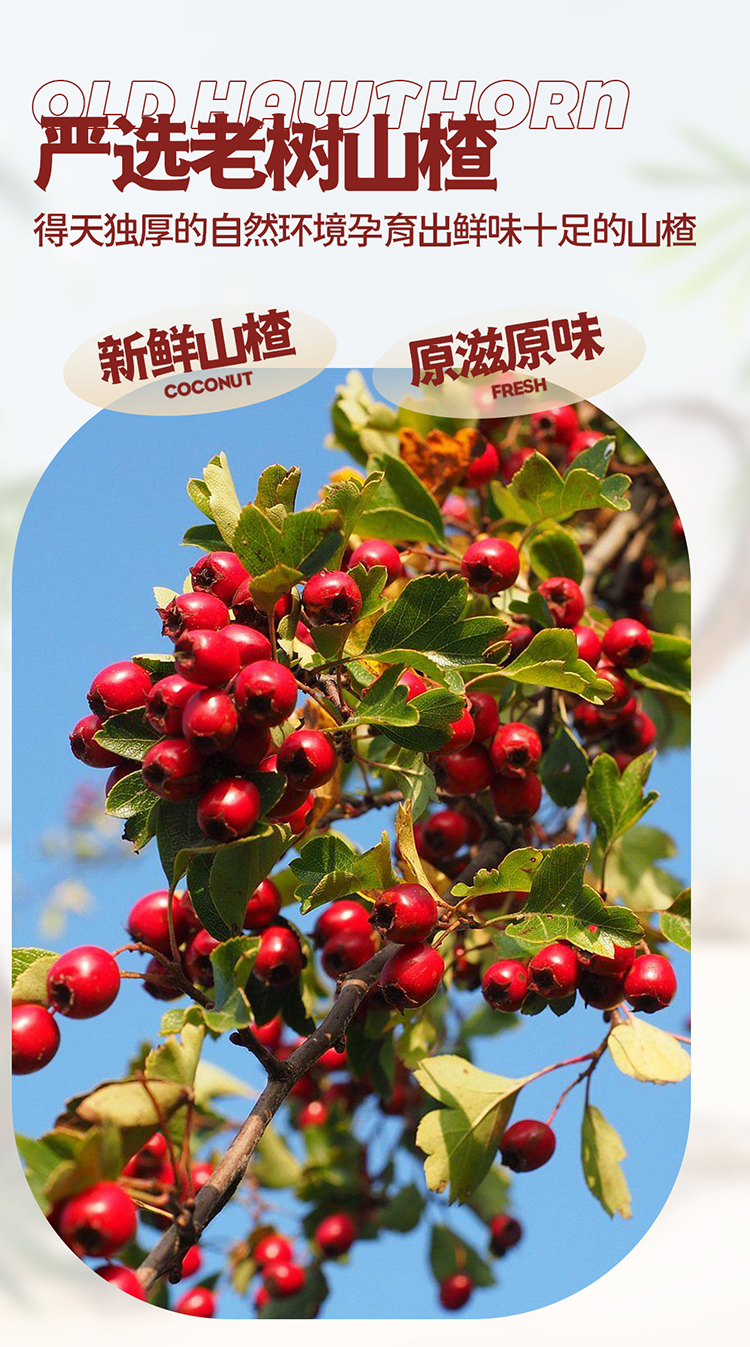 山楂果组合详情页 (4).jpg