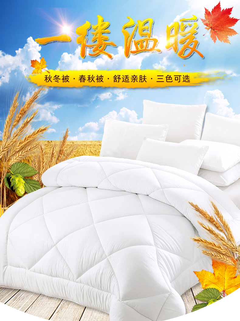 详情-01.jpg