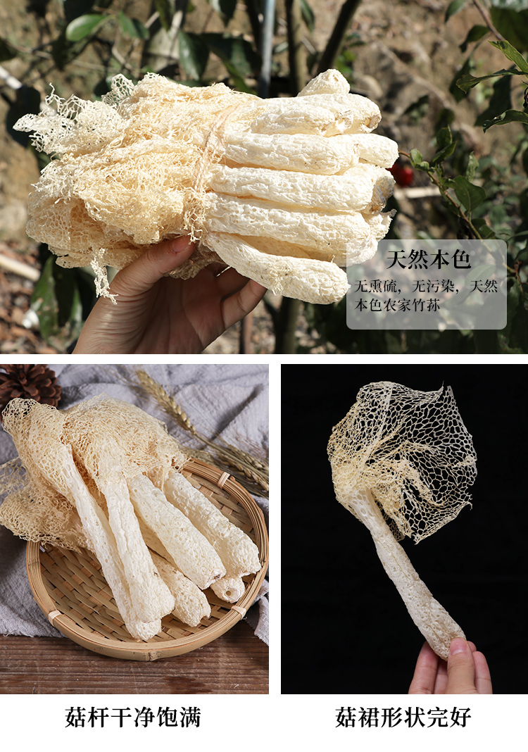 竹荪_04.jpg