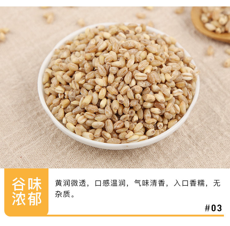 小麦仁_07.jpg
