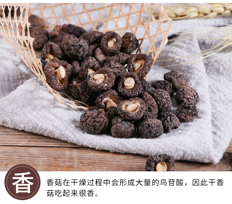 小香菇_04.jpg