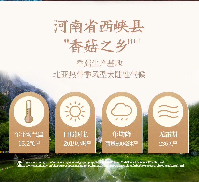 清香山野香菇_04.jpg