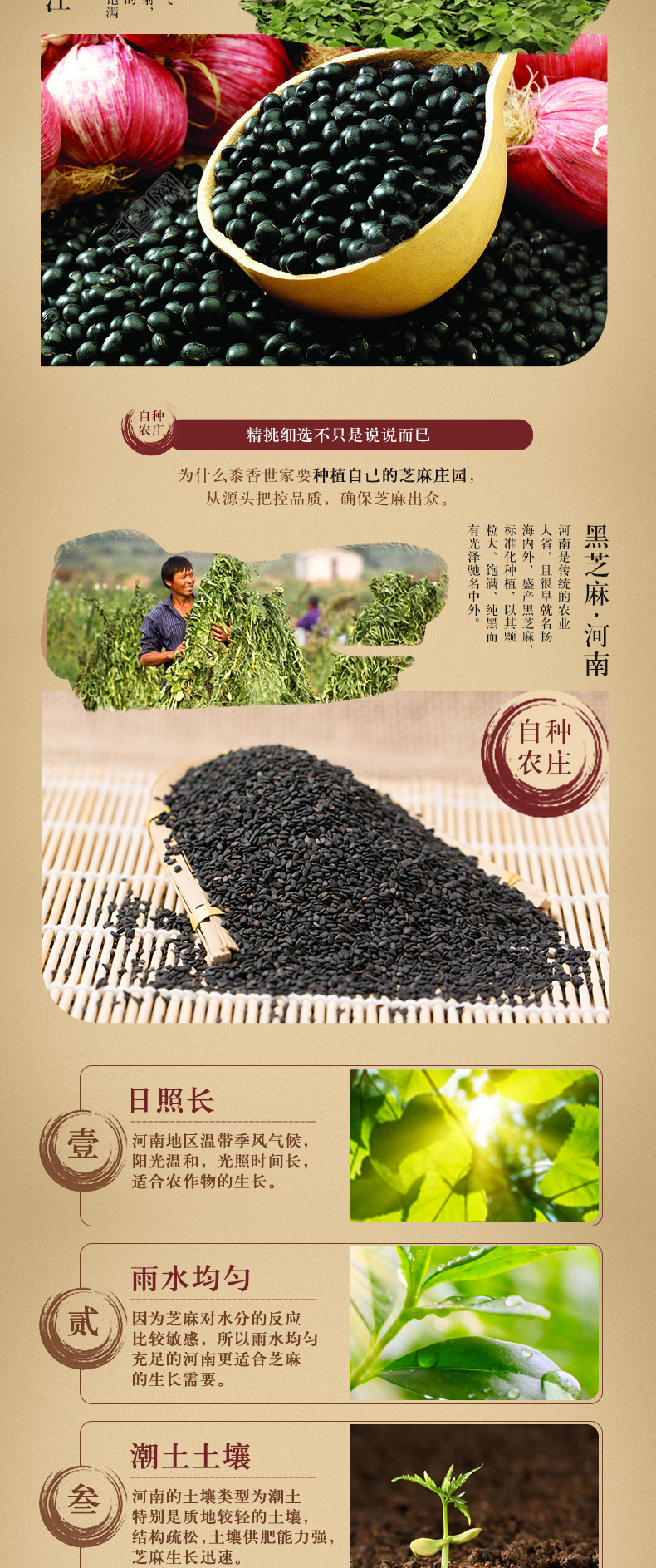 黑芝麻核桃黑豆粉_05.jpg
