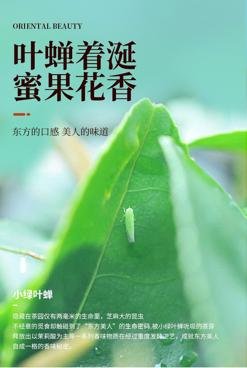 详情-07.jpg