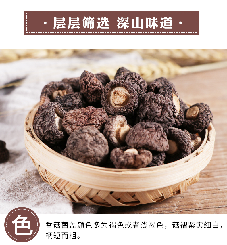 小香菇_03.jpg