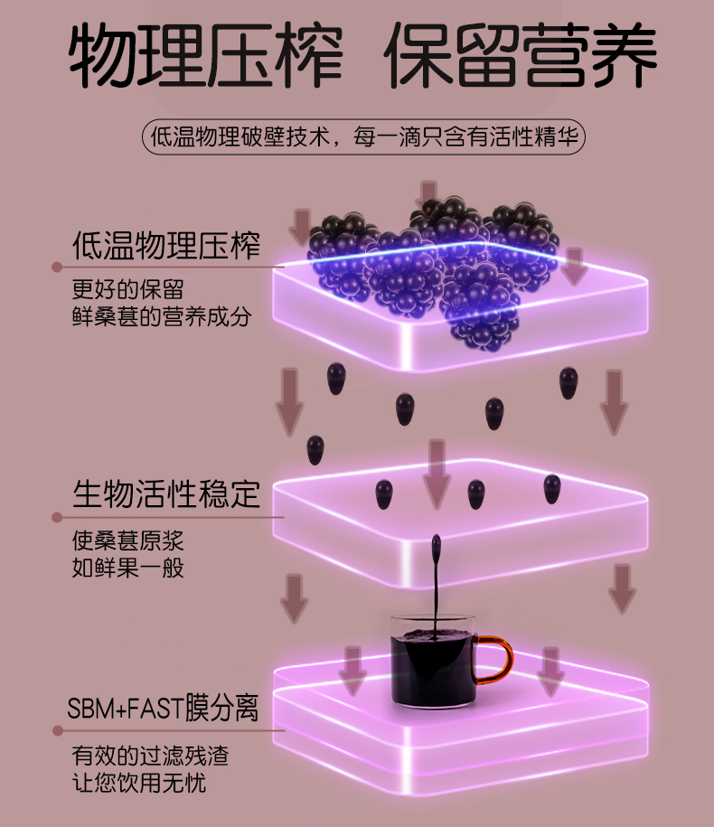 桑葚原浆_11.jpg