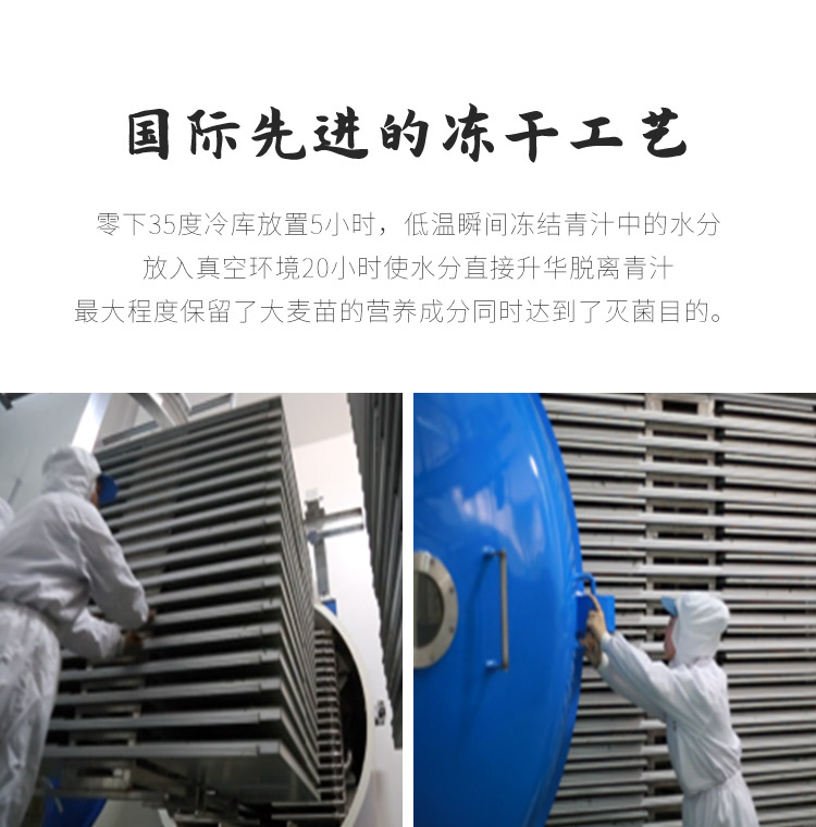 青汁_08.jpg