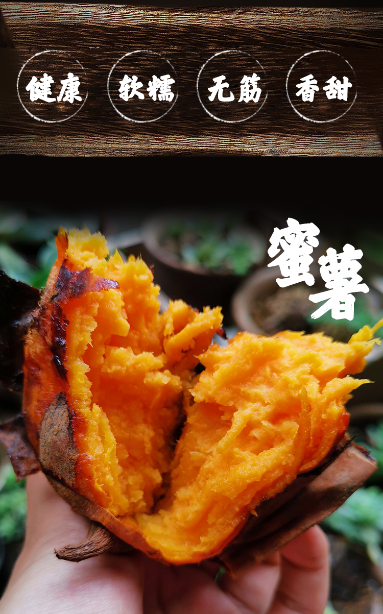 蜜薯_02.jpg