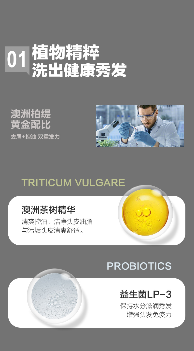茶树去屑洗发水_11.jpg