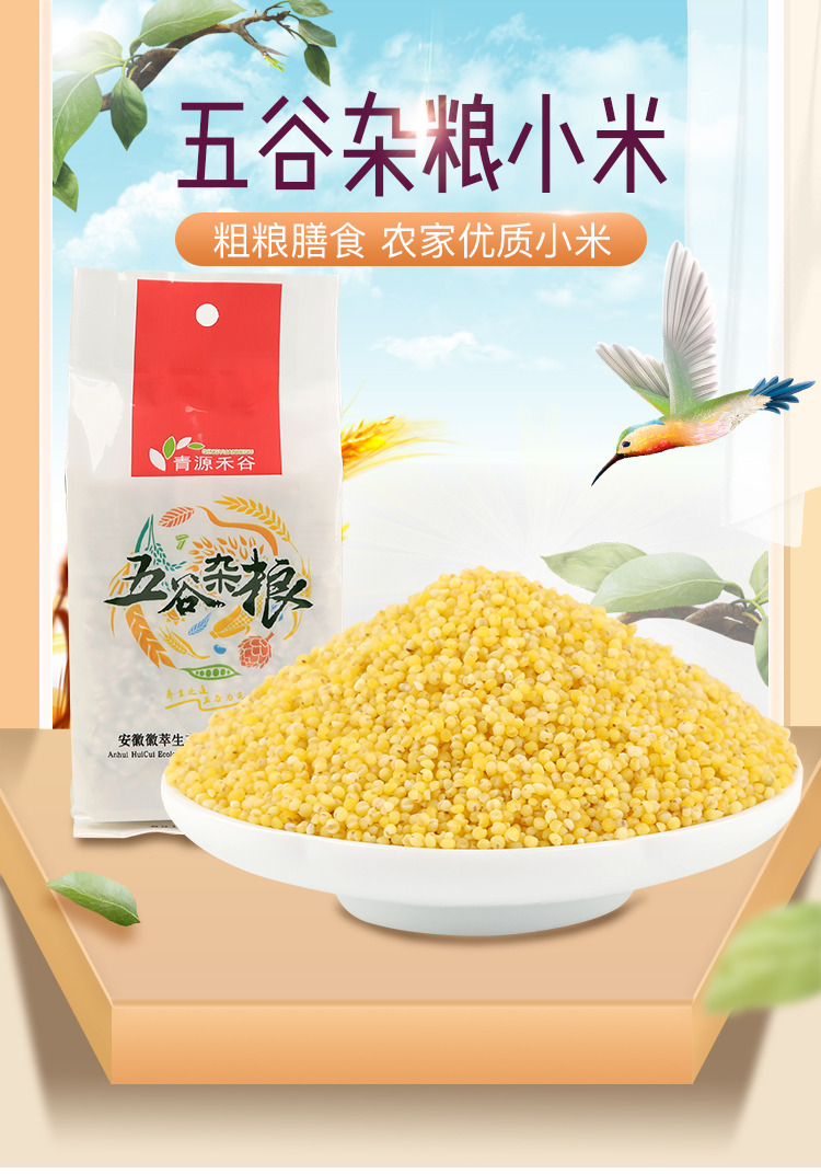小米_01.jpg