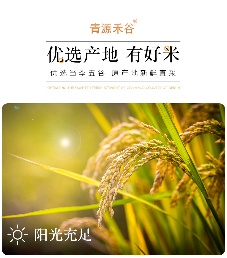 黑米_10.jpg
