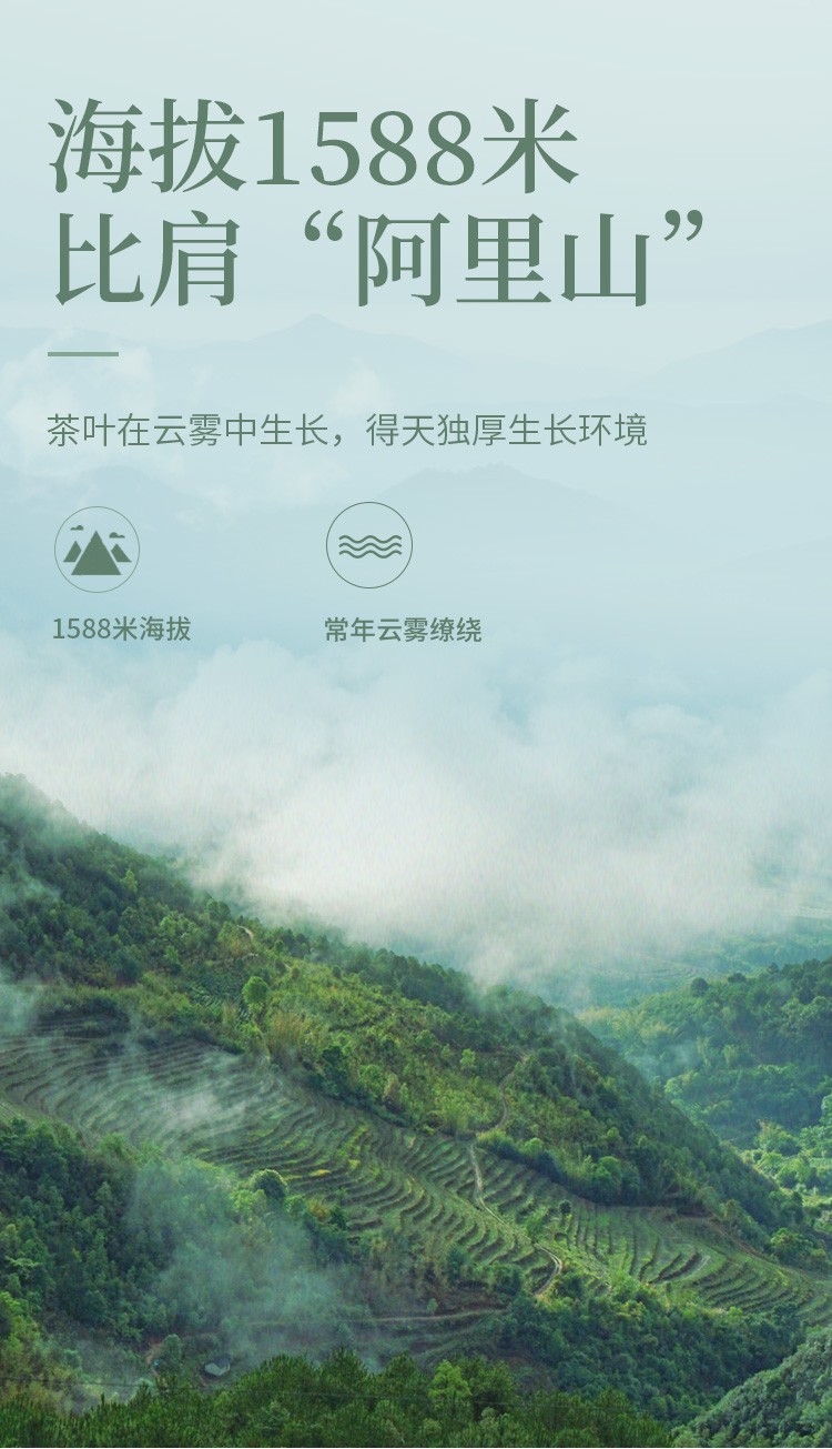 详情-03.jpg