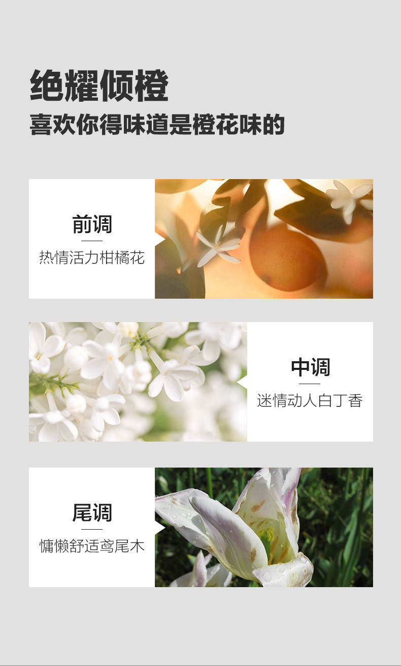 茶树去屑洗发水_08.jpg