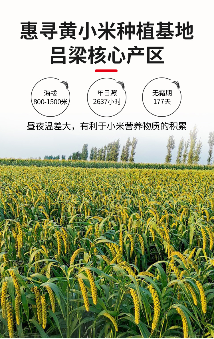 详情-05.jpg