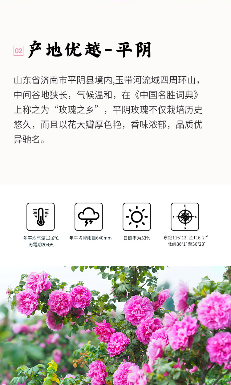 玫瑰花冠袋装_05.jpg