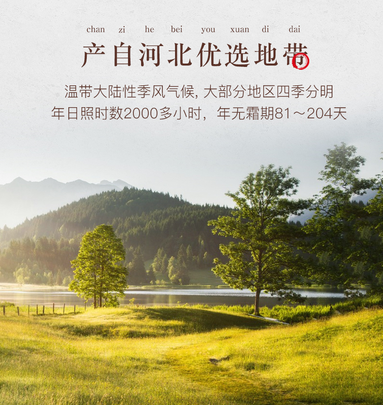 108笑口杏仁详情_03.jpg