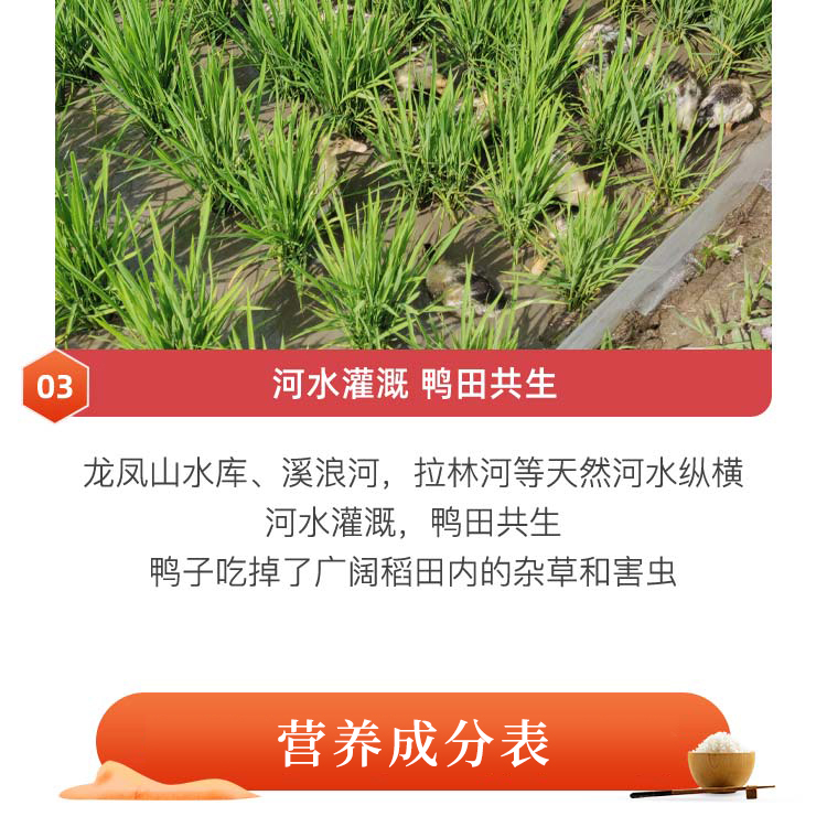 详情-10.jpg