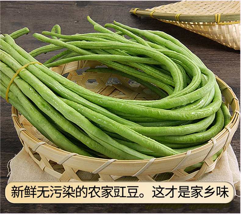 豇豆_08.jpg
