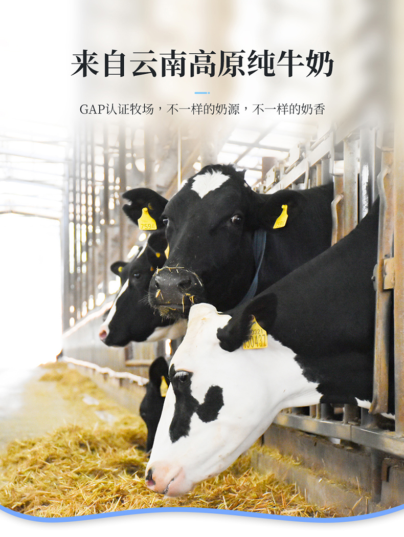 详情-05.jpg