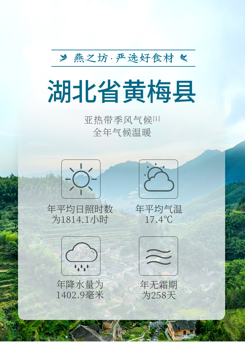 白芝麻_03.jpg