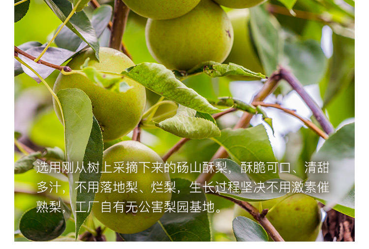 秋梨膏详情页[最终版]_08.jpg
