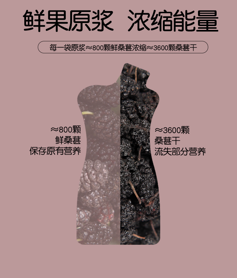 桑葚原浆_12.jpg