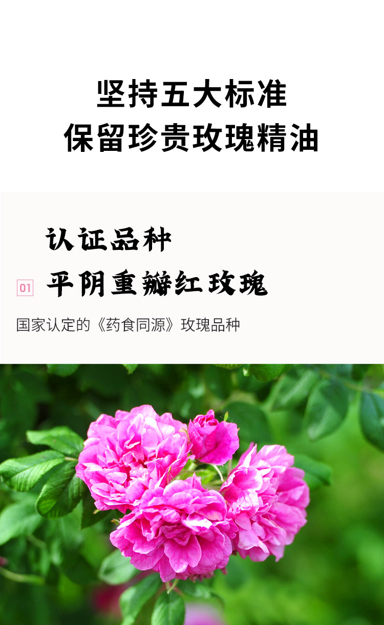 玫瑰花冠袋装_04.jpg