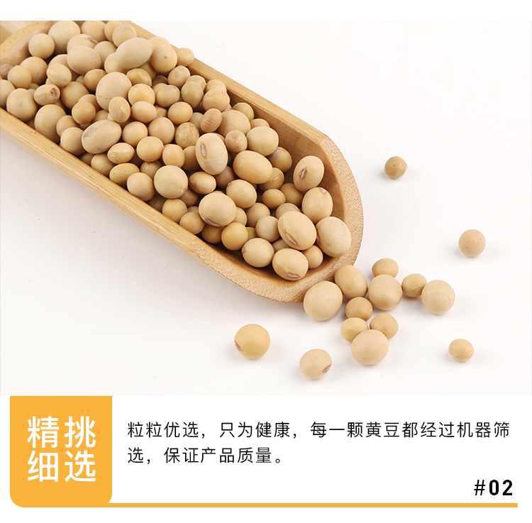 黄豆_06.jpg