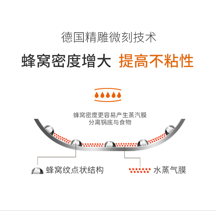 纳什11.jpg