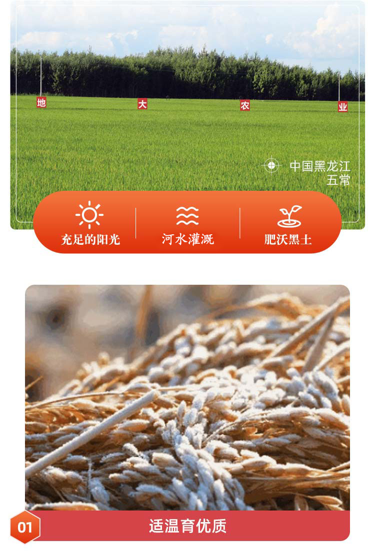 详情-08.jpg